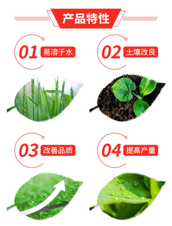 動物源氨基酸原液(淺黃色)-潤佳圣_02